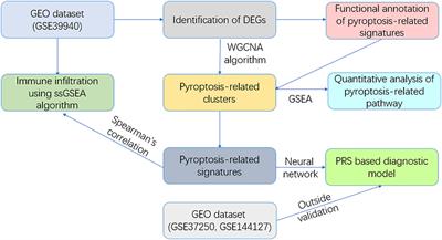 Identification and validation of a pyroptosis-related signature in identifying active tuberculosis via a deep learning algorithm